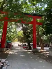 花園神社の鳥居