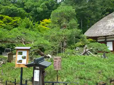 常楽寺(長野県)