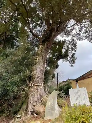 日枝神社の自然