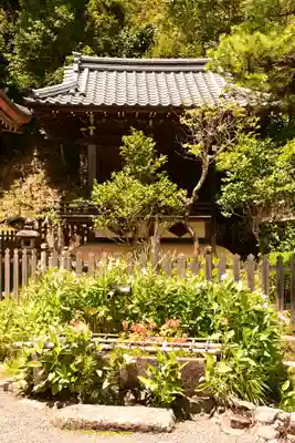 二尊院(京都府)