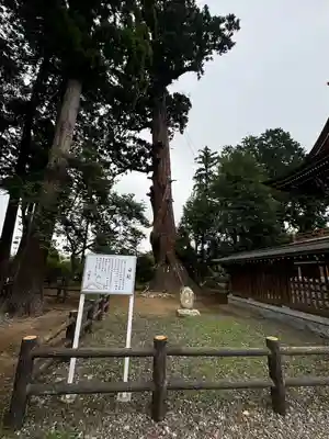 八幡宮(茨城県)