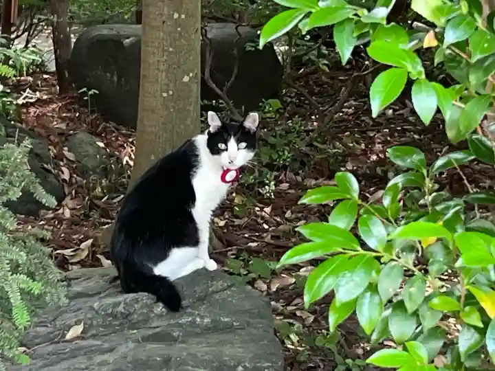 榛名神社(群馬県)