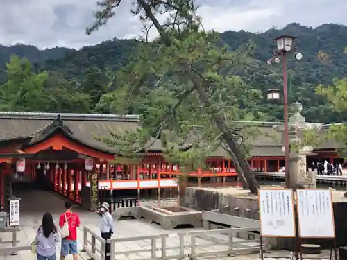 厳島神社の庭園