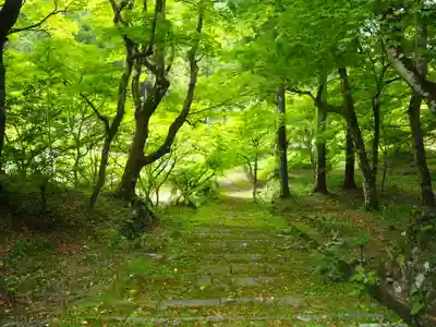 大洞院のその他建物