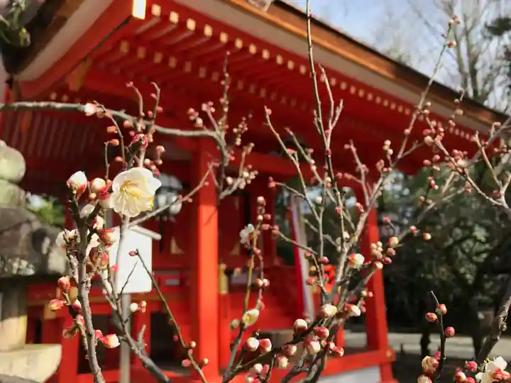 北野天満宮(京都府)