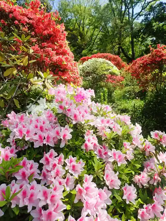 等覚院の御朱印