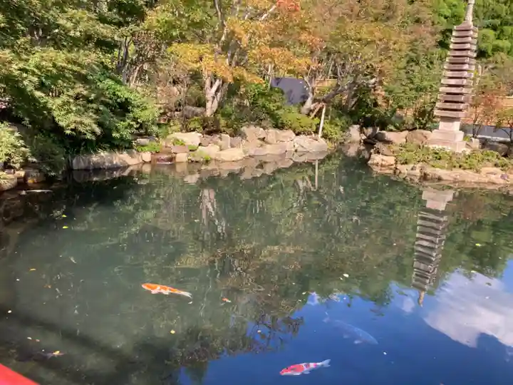 貫井神社(東京都)