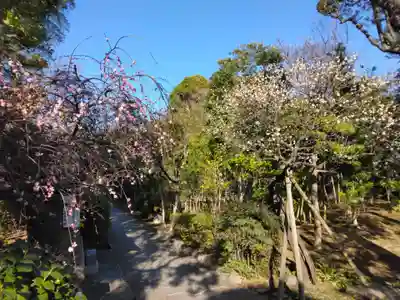 常楽寺(神奈川県)