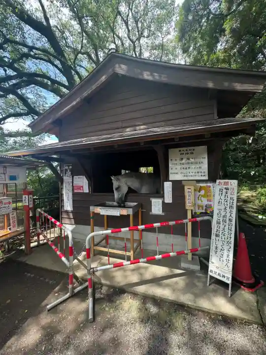 鹿児島神宮(鹿児島県)