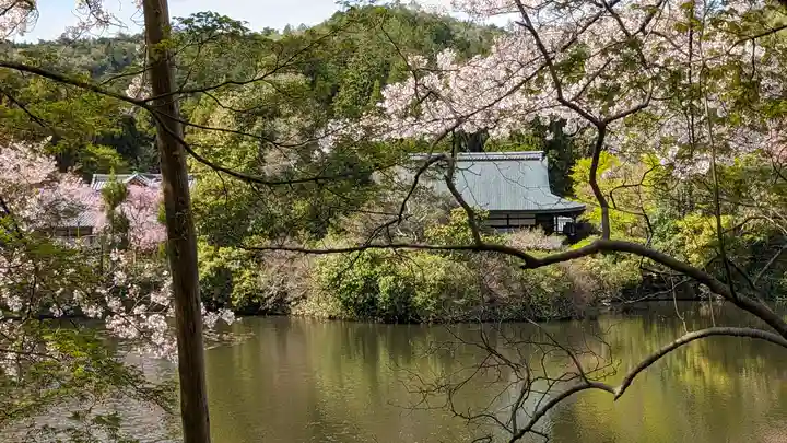 龍安寺(京都府)