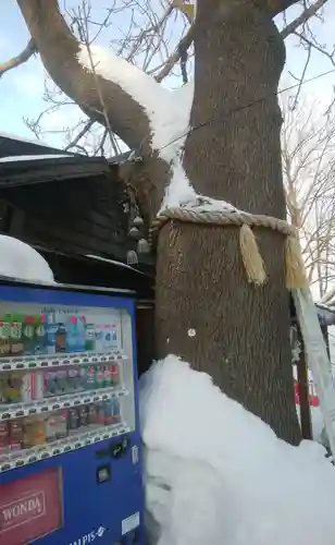 札幌諏訪神社の自然