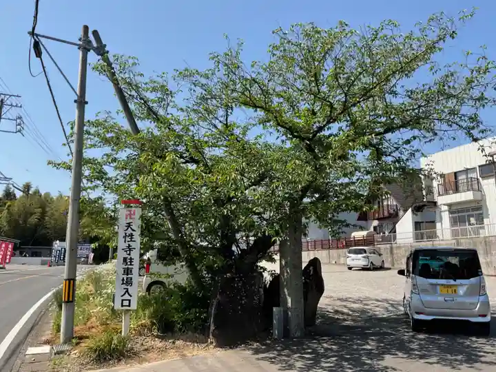 佛國山 天性寺(愛知県)