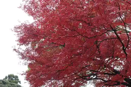 常磐神社(茨城県)