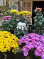 大宮温泉神社(栃木県)