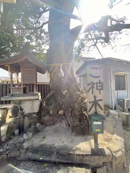 櫟谷七野神社(京都府)