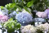 三津厳島神社の手水舎