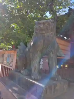 浅草神社の狛犬