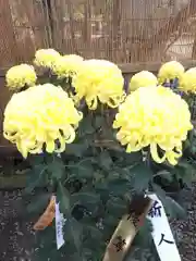 彌彦神社の建物その他