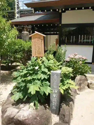 櫛田神社(福岡県)