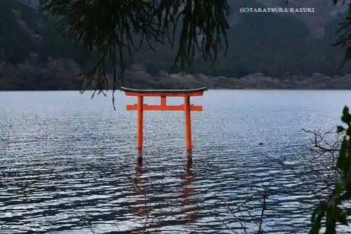 九頭龍神社本宮の鳥居