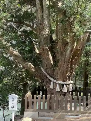 安房神社(千葉県)