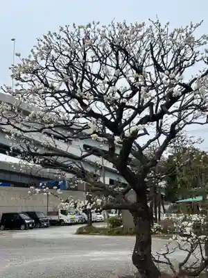 隅田川神社(東京都)