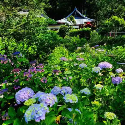 極楽寺(静岡県)