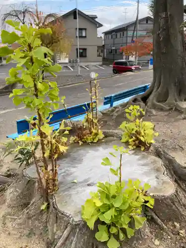熊野福藏神社(福島県)