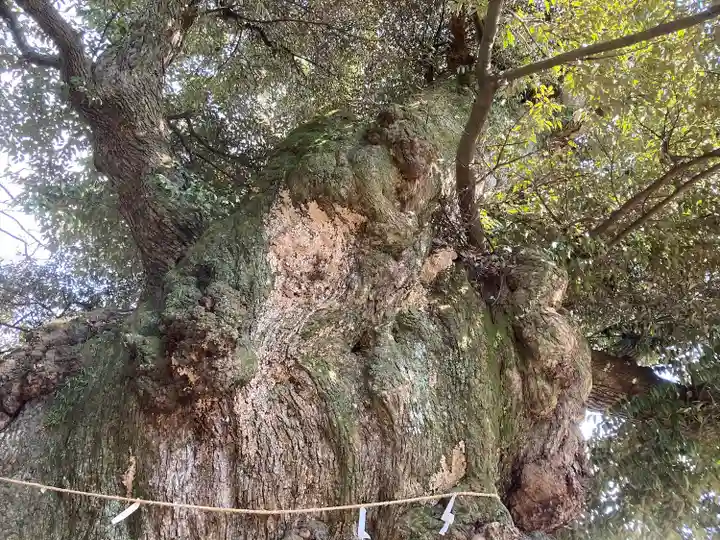 楽法寺(雨引観音)(茨城県)