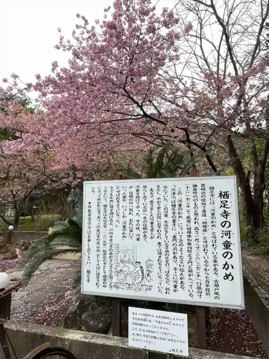 かっぱの寺 栖足寺(静岡県)