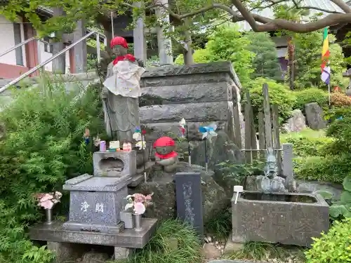 寿福寺の{uncategorized: "未分類", other: "その他", undefined: "問題あり", building: "その他建物", grave: "お墓", sacred_gate: "鳥居", guardian: "狛犬", statue: "像", buddha: "仏像", history: "歴史", nature: "自然", garden: "庭園", animal: "動物", pagoda: "塔", temizu: "手水舎", mountain_gate: "山門・神門", sanctuary: "本殿・本堂", subordinate: "末社・摂社", art: "芸術", scenery: "景色", jizo: "地蔵", ema: "絵馬", goshuin: "御朱印", omikuji: "おみくじ", items: "授与品その他", amulet: "お守り", goshuincho: "御朱印帳", eats: "食事", festival: "お祭り", votive_dance: "神楽", shichigosan: "七五三参", wedding: "結婚式", experience: "体験その他", initially: "初詣", around: "周辺", anti_infection: "感染症対策"}