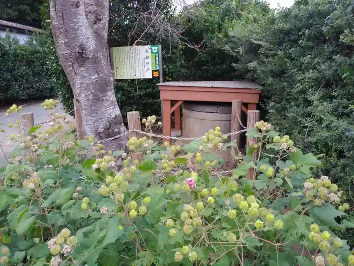 天朝井戸大師のその他建物
