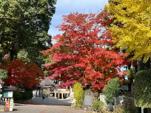 高麗神社(埼玉県)