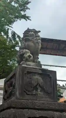 八坂神社(祇園さん)の狛犬