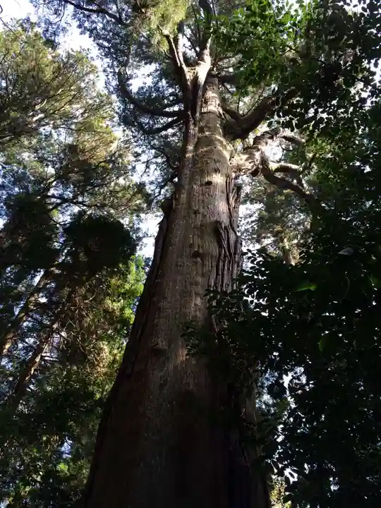 高千穂神社(宮崎県)