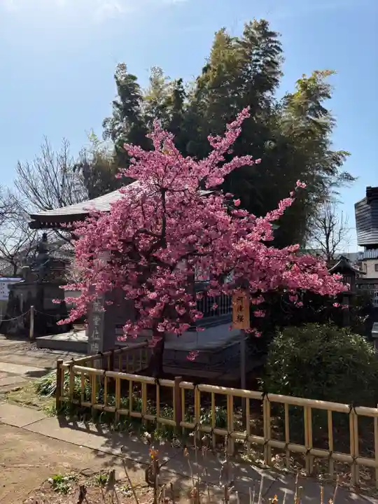 芳林寺(埼玉県)