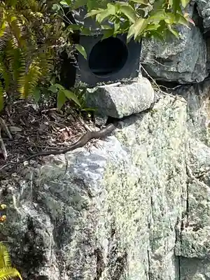 りゅうごん様(岡山県)