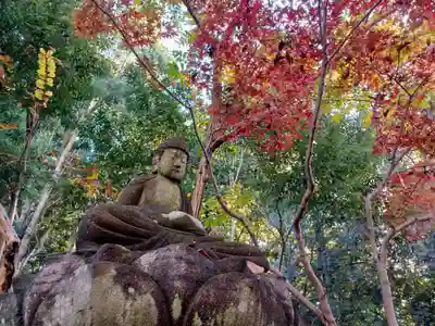 天岑寺(埼玉県)