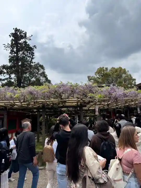 春日大社(奈良県)