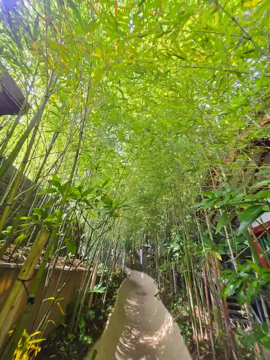 來宮神社(静岡県)