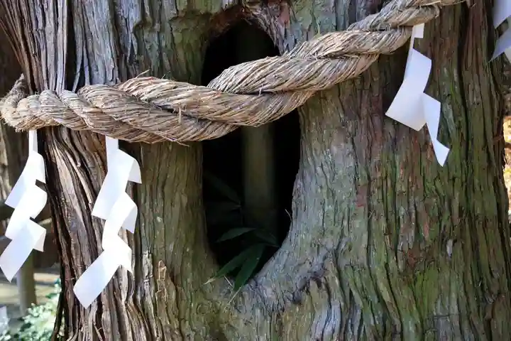 阿久津「田村神社」(郡山市阿久津町)旧社名:伊豆箱根三嶋三社の自然