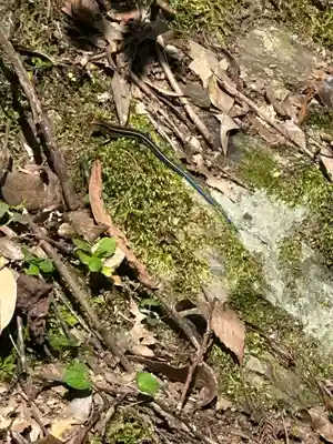 速川神社(宮崎県)