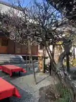 佛日庵(神奈川県)