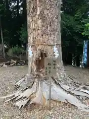 滑川神社 - 仕事と子どもの守り神の自然