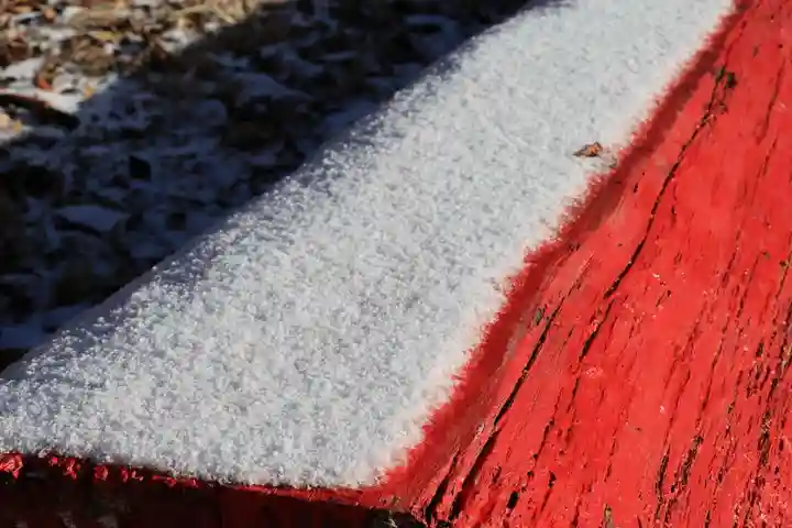 阿久津「田村神社」(郡山市阿久津町)旧社名:伊豆箱根三嶋三社の自然