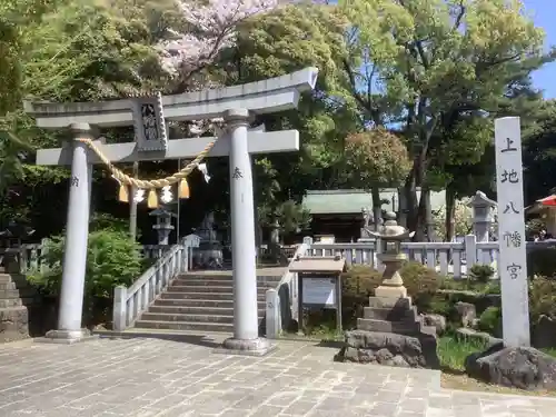 上地八幡宮の鳥居