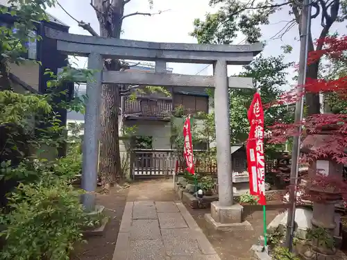 馬橋稲荷神社の鳥居
