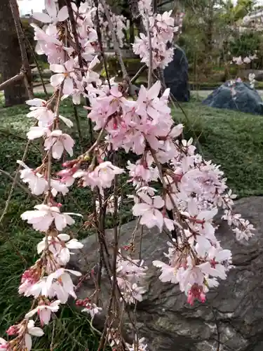 圓照寺(東京都)