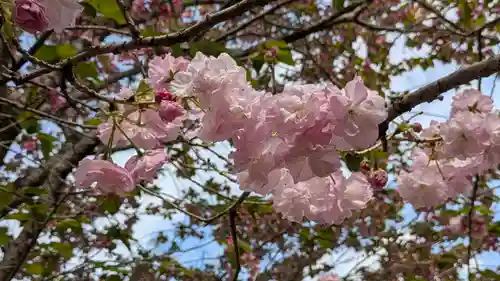 圓光寺(京都府)