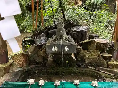戸隠神社(奈良県)